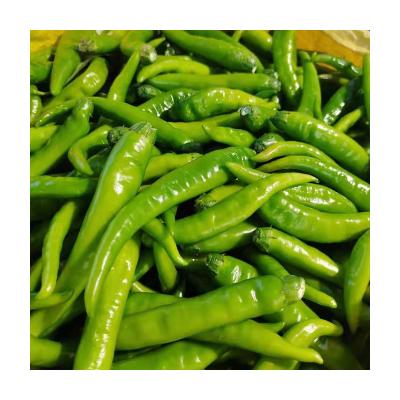 China Bulk high quality fresh red peppers widely used fresh big ones are cheap for sale