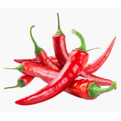 China Good Taste Spice Cheap Price Fresh Red Chili Pepper Bulk for sale