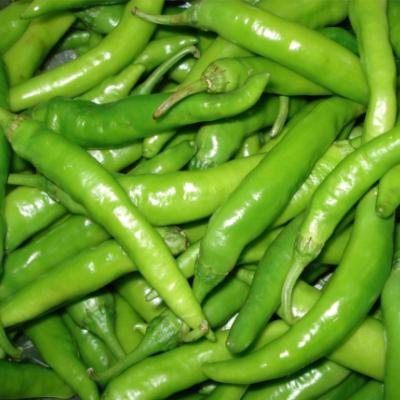 China Fresh Hot Spicy Taste Raw Processing Type Round Red / Green Color Shape High Quality Fresh Chilies for sale