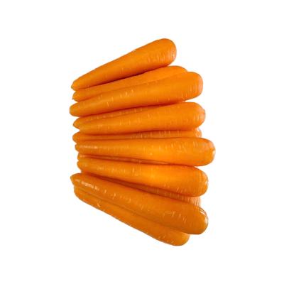 China Fresh New Crops Selling Well, Vitamin C Rich Fresh Chinese Carrots for sale