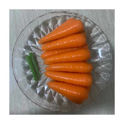 China Fresh good quality fresh carrots have the effects of protecting eyes and lubricating skin for sale