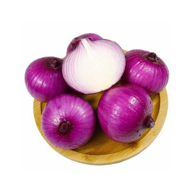 China Selling fresh high quality fresh red onions that are tender and regenerating for sale