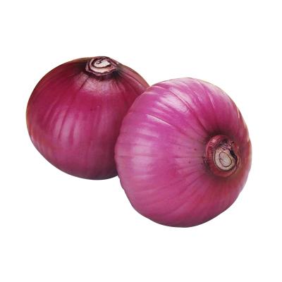 China Wholesale Bulk Fresh Onion Exporters White/Red/Yellow Ton Fresh Onions Price for sale