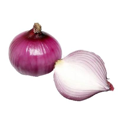 China Holland Onion Buyers Malaysia Pakistan Dubai Fresh Onion Price Fresh Onion Price 1kg for sale