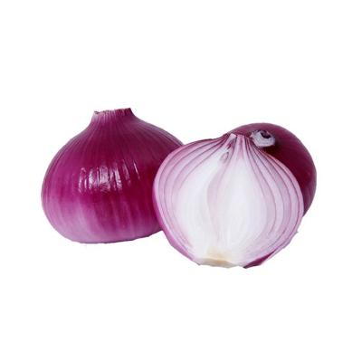 China 2021 10kg/20kg net bag fresh high quality red peeled onion for sale