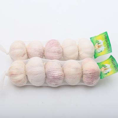 China Wholesale Suppliers China Fresh Garlic Fresh Garlic With Lowest Price for sale