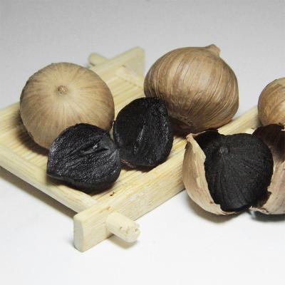 China China black garlic wholesale fresh chinese black garlic prices where to buy for sale