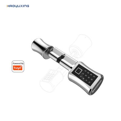 China Digital Turn Euro Anti-theft Cylinder Smart Keyless Lock With Lock App 152 Fingerprints for sale