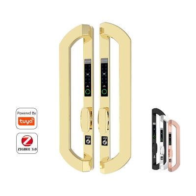 China Euro style Sus304 fingerprint lock tuya wifi traditional double sided Dtype smart fingerprint lock multifunction combination lock for sale