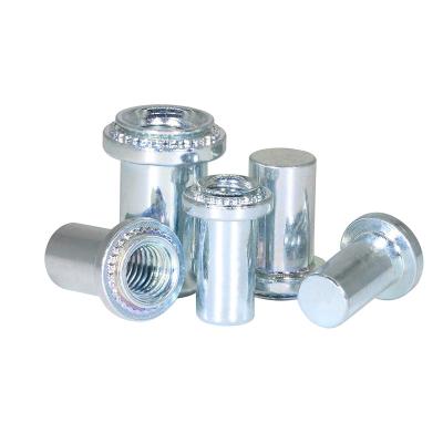 China Wholesale Heavy Industry M3 M4 M5 M6 M8 M10 M12 Stainless Steel Knurled Round Flat Head Rivet Blind Nut for sale