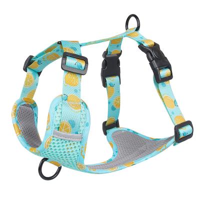 China Adjustable Reflective Harness Reflective Pet Dog Leash and Harness Set Vest Style Safety Dog Accessory for sale