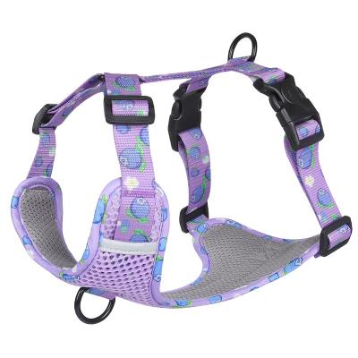 China Profession Manufacturer Dog Leash And Reflective Harness Set Vest Reflective Night Dog Walking Harness for sale