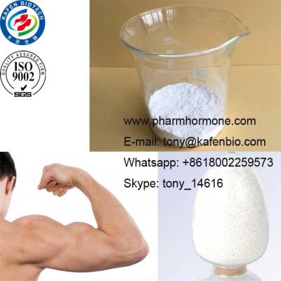 China Anabolic Steroids Powder  Bodybuilding Steroid Powders Testosterone Acetate with Discreet Package for sale