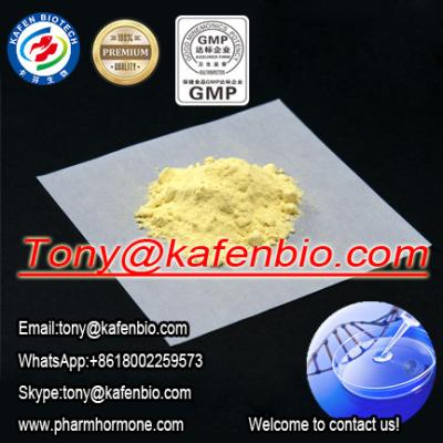 China Light yellow crystalline powder Jin Yang Base Pharmaceutical Raw Materials for treatment Sexual Disorder Jinyang Base for sale