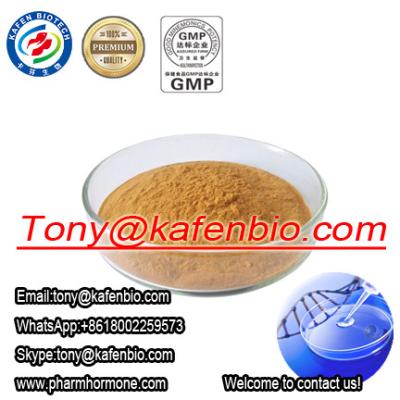 China Brownish Yellow Powder Natural Herbal Viagra Maca Extract Pharmaceutical Raw Materials for men sexual enhancement for sale