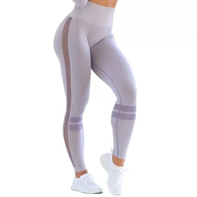 China Antibacterial Women Workout Yoga Gym Fitness Mesh Gaiters Shark Seamless Gaiters for sale