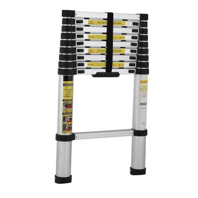 China Telescopic ladders choose telescopic ladder for sale