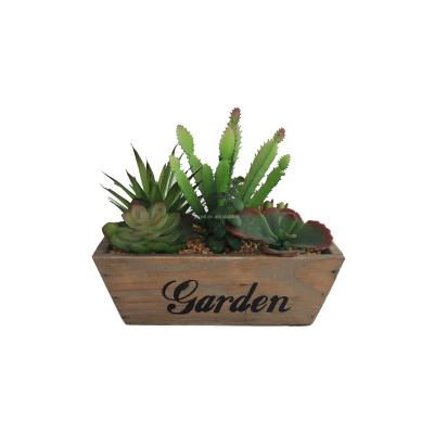 China Succulents Wooden Pots Containers Plant Home Decoration and Wooden Pot Tray Good Quality Flower Plate Garden Planter for sale