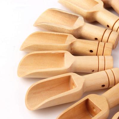 China Premium Sustainable Eco Friendly Natural Biodegradable Beech Bamboo Wooden Dosers For Salts for sale