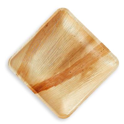 China Bamboo Areca Serving Disposable Thick Fiber 6