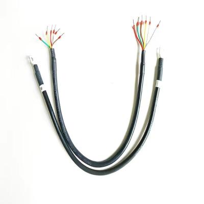 China New Energy Vehicle Electronic Wiring Harness 2P 4P 6P Flexible Cable Joint Cable for sale