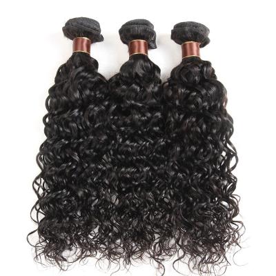 China Cheap Kinky Curly Brazilian Hair Bundles Water Wave Curly Weave Bundles 16 Inch 10A Virgin Blue Straight Tag Hair Bundles for sale