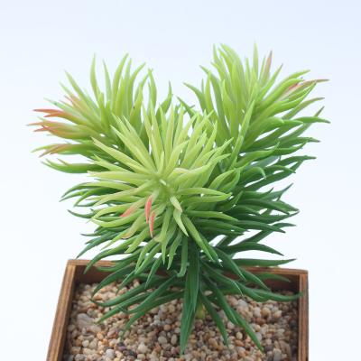 China Wholesale Decorative PVC Plastic Succulent Artificial Succulents Omatsuba Artificial Green Plants for sale