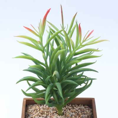 China Wholesale PVC Decorative Plastic Artificial Succulents Artificial Green Plants for sale