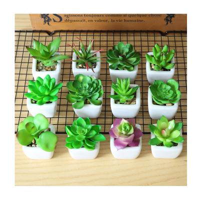 China PVC Succulents Mini Simulation Bonsai Ceramic Small Simulation Plants Potted Desktop Ornaments Decorative Green Plants for sale