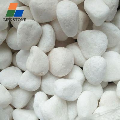 China Wholesale Natural White Garden Decoration Pebble Stone for sale