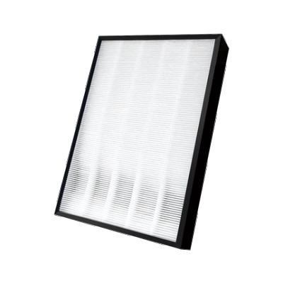 China Household EPF-DV1000H HEPA and Carbon Air Filter Fit for Hitashi EP-A6000/8000/7000/71 EP-M7200C for sale