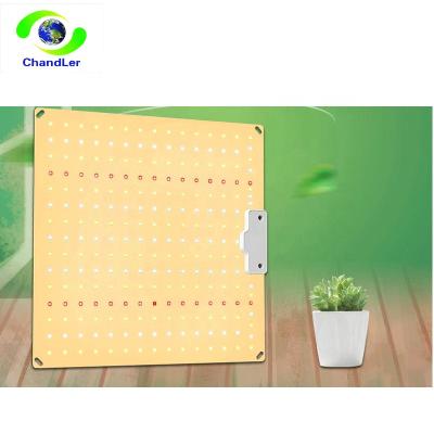 China Seed Starting LED Grow Light With Wire 600W Full Spectrum Hanging Plant Grow Lamp Grow Light LED With Clip for sale