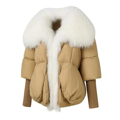 China Breathable Newest Female Fashion Clothing Lady Thick Warm Real Fox Fur Collar Down Coats Women Winter Goose Down Coats Jacket for sale