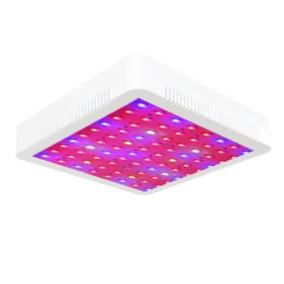 China 2020 China 300w Led Grow Light Full Spectrum Cob Led Grow Light For Indoor Growing for sale