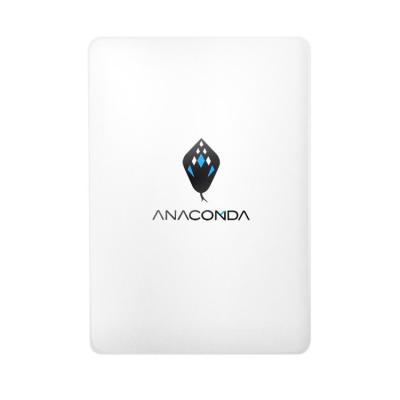 China SSD ANACOMDA 2.5