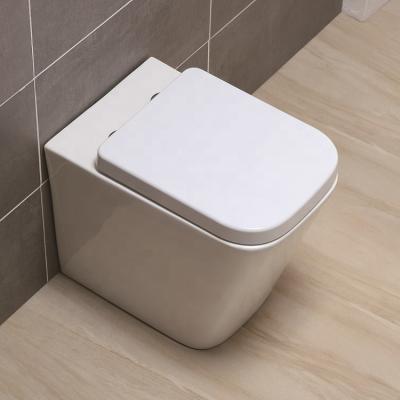 China Beautiful Rimless Type Square Washroom Double-flush ANBI Bathroom Wash Down Toilet for sale