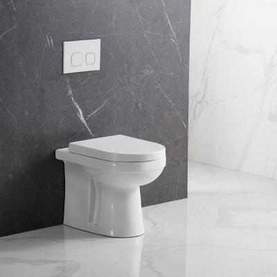 China Double-Flow ANBI Promotion Ceramic Bathroom WC Back To S Trap Wall Mounted Toilet For You for sale