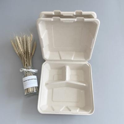 China Biodegradable Food Box Packaging Takeaway Food Containers Packaging 9 Inch 3 Compartment Disposable Container Food for sale