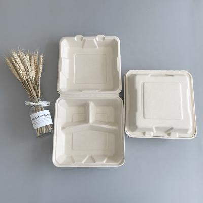 China Disposable Lunch Boxes 8 Inch 3 Compartment Biodegradable Food Container for sale