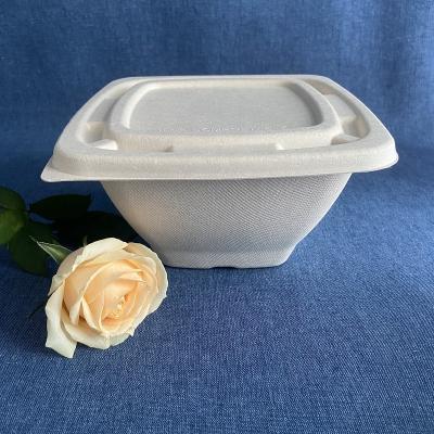 China Disposable Sugarcane Bagasse Pulp Food Bowl Paper Bowl With Lid Bowl Square Bagasse for sale