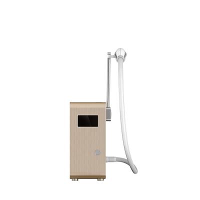 China New 500w ND Anti-Blister Yag Laser Portable Tattoo Eyebrow Carbon Lip Line Peeling Machine for sale