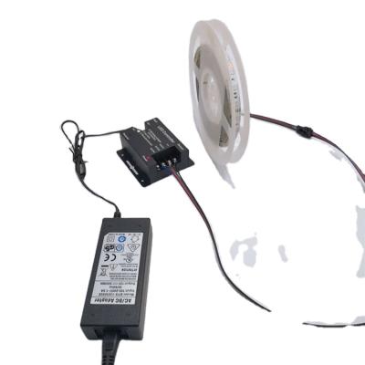 China Waterproof Hotel RGB LED Strip Light SMD5050 RGB Strip DC12V Led Strip Diode Light Strips Flexible Striped Lamp IR Remote Controller for sale