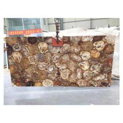 China Luxury Semi-precious Stone Slabs Solid Petrified Wood Slab Colored Fossil Stone Countertops for sale