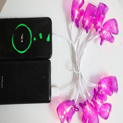 China Charging + Data Transmission + String Light Data Line Decorative Charging Line USB Data Cable For Iphone Android Phones Unicorn LED Smart String Light Charging Cables for sale