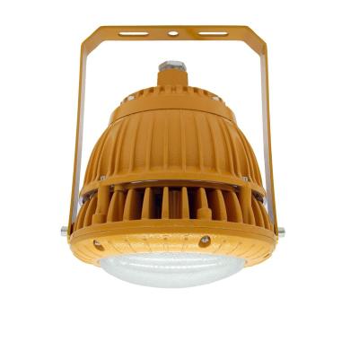 China Factory Price 200W Ip65 Explosion Proof Explosion Proof High Bay Light Gas Station Led Explosion Proof Light for sale