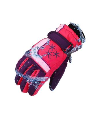 China Keep Winter Unisex Ski Mitten Easy To Wash Waterproof Windproof Warm From Factory Various Hot Sale Popular Product for sale