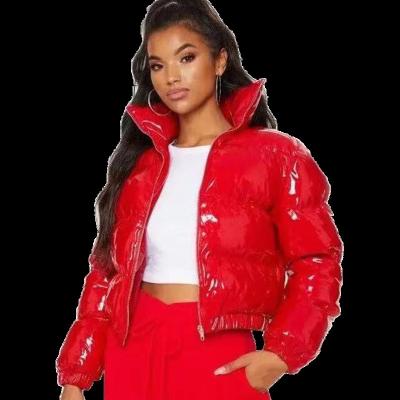 China Windproo Customized Solid Color Women's Casual Windproof Short Jacket Down Jacket for sale