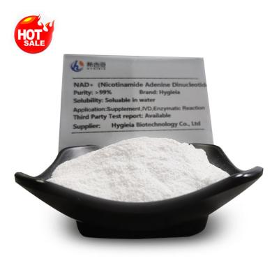 Cina Professionale 99% Purezza NAD Nicotinamide Adenina Dinucleotide Polvere CAS 53-84-9 in vendita