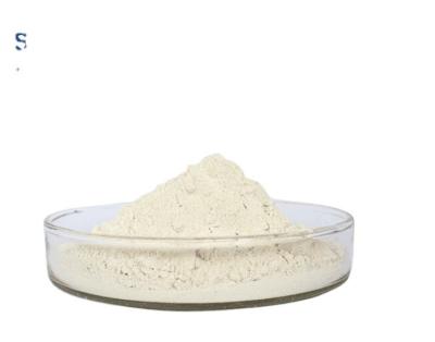 China High Purity Spermidine Trihydrochloride 98% Powder For Dietary Supplement Cas No 334-50-9 for sale