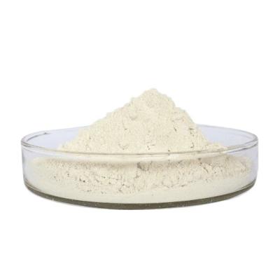 China 20000FU/G Nattokinase Powder Extracted From Bacillus Fermented Soybeans CAS 133876-92-3 for sale